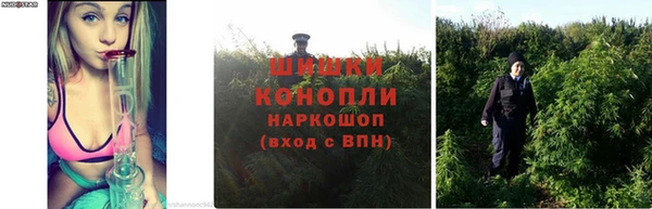 стафф Балахна